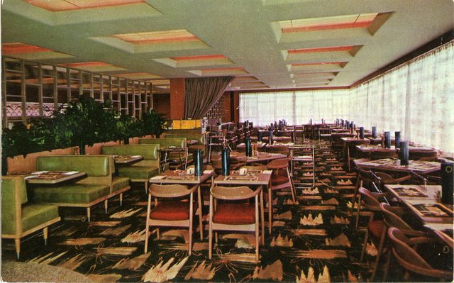 The Orchid at Kigo